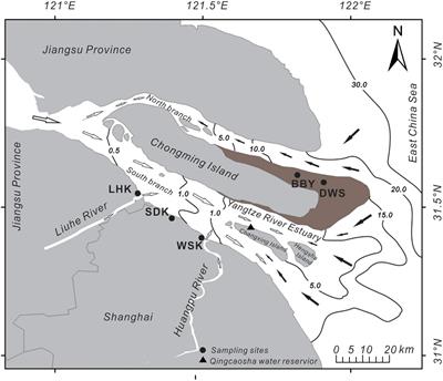 Study of Heavy Metals and Microbial Communities in Contaminated Sediments Along an Urban Estuary